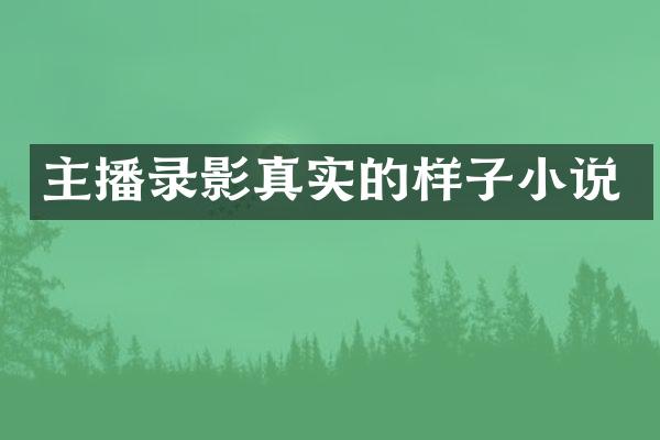 主播录影真实的样子小说