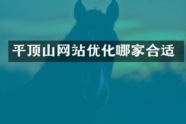 平顶山网站优化哪家合适