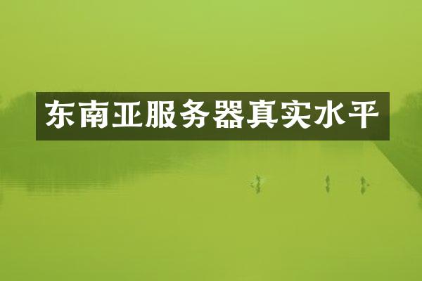 东南亚服务器真实水平
