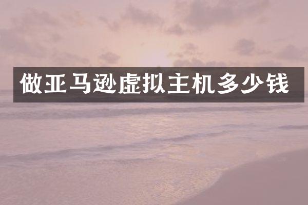 做亚马逊虚拟主机多少钱