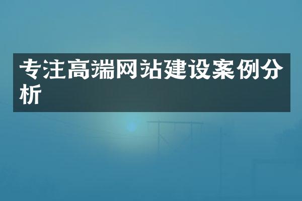 专注高端网站建设案例分析