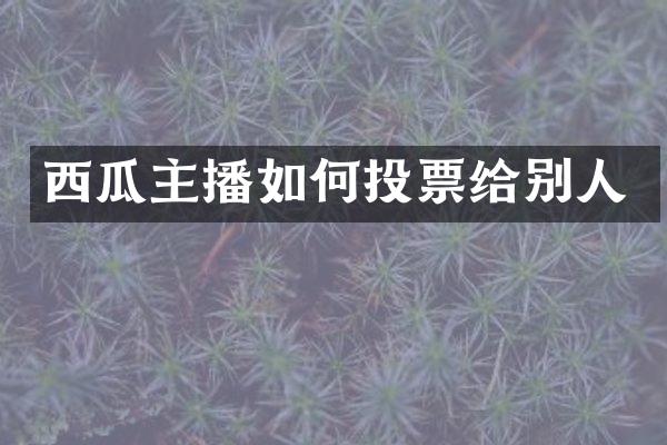 西瓜主播如何投票给别人