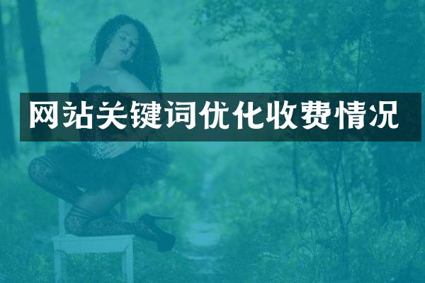 网站关键词优化收费情况