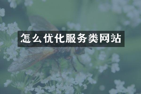 怎么优化服务类网站