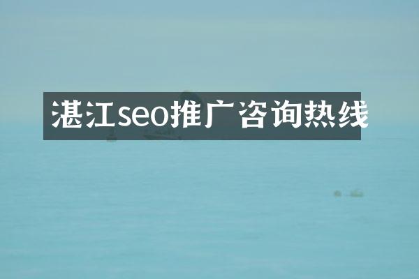 湛江seo推广咨询热线