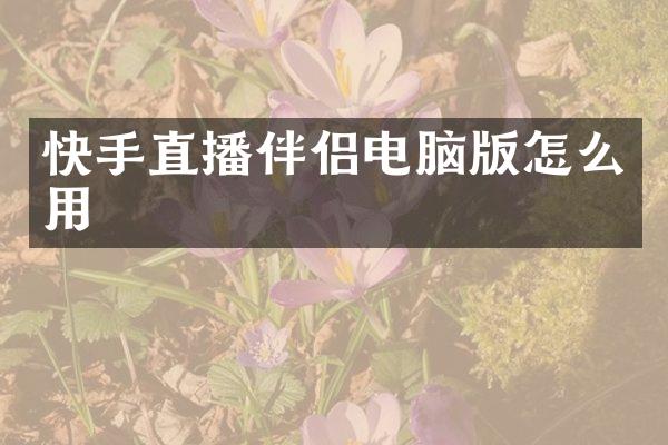 快手直播伴侣电脑版怎么用