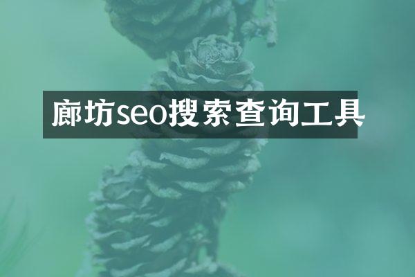 廊坊seo搜索查询工具