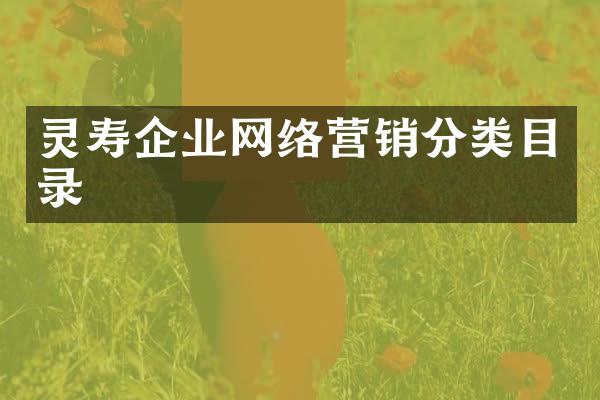 灵寿企业网络营销分类目录