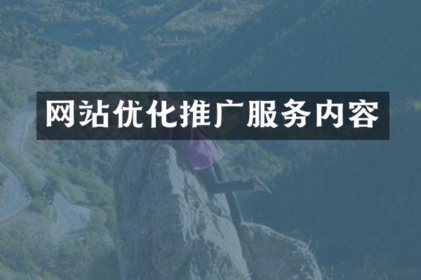 网站优化推广服务内容