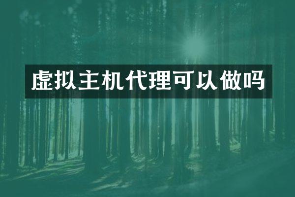 虚拟主机代理可以做吗