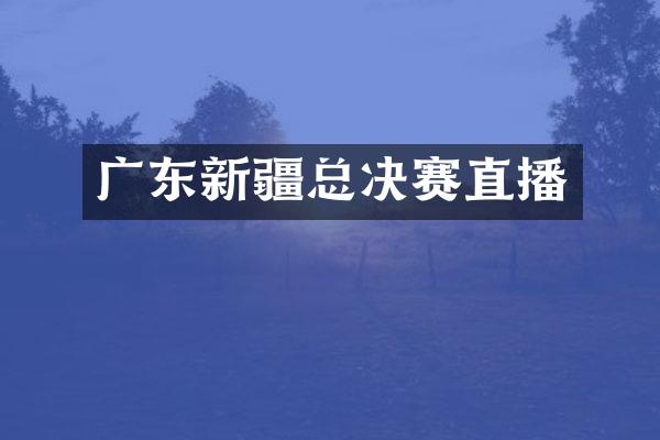 广东新疆总决赛直播