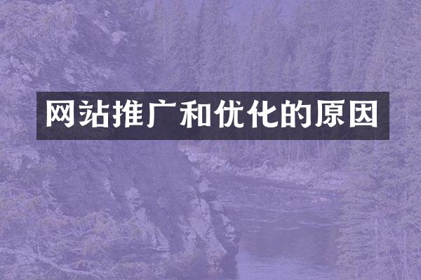 网站推广和优化的原因