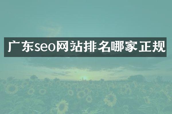 广东seo网站排名哪家正规
