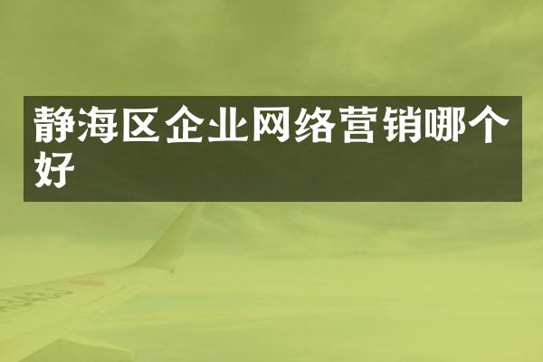 静海区企业网络营销哪个好