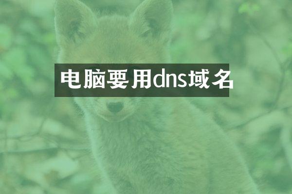 电脑要用dns域名