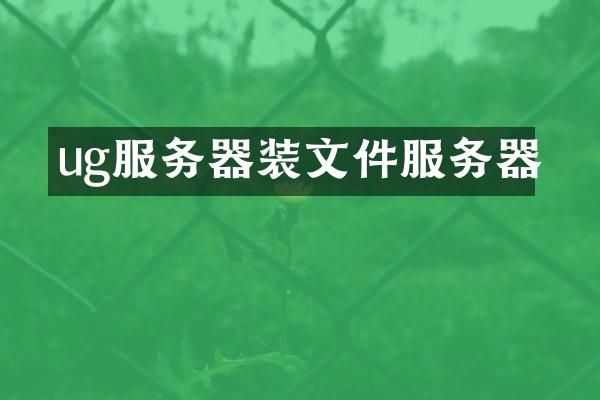 ug服务器装文件服务器
