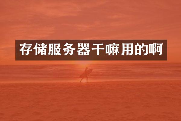 存储服务器干嘛用的啊