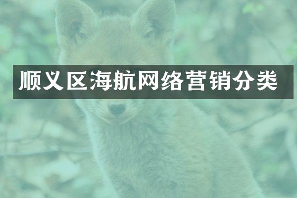 顺义区海航网络营销分类