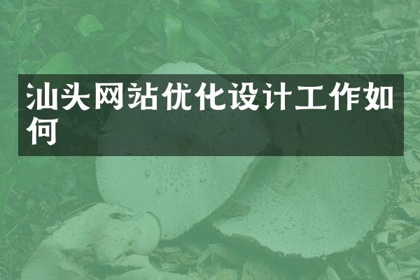 汕头网站优化设计工作如何