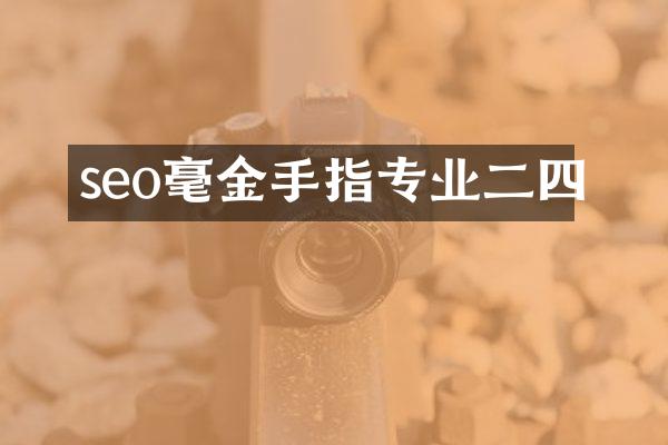 seo毫金手指专业二四