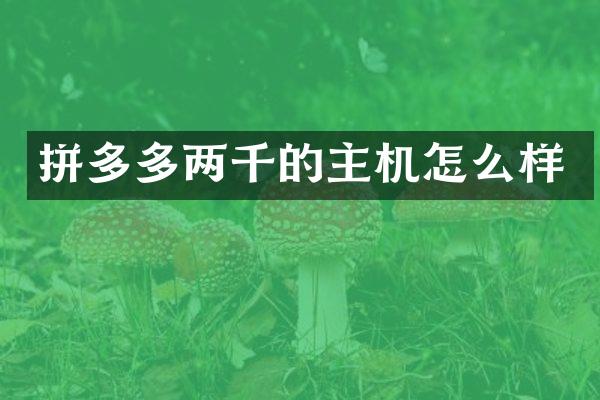 拼多多两千的主机怎么样