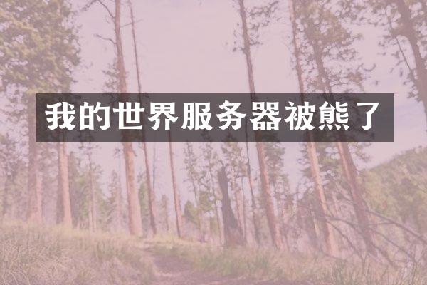 我的世界服务器被熊了