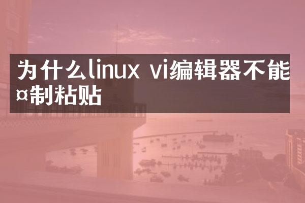 为什么linux vi编辑器不能复制粘贴