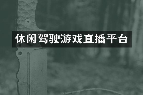 休闲驾驶游戏直播平台