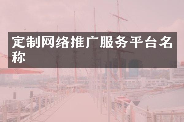 定制网络推广服务平台名称
