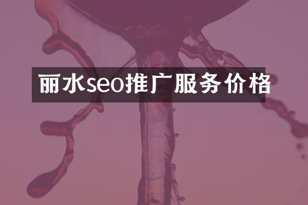丽水seo推广服务价格