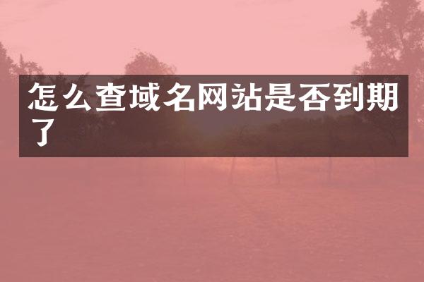 怎么查域名网站是否到期了