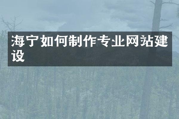 海宁如何制作专业网站建设