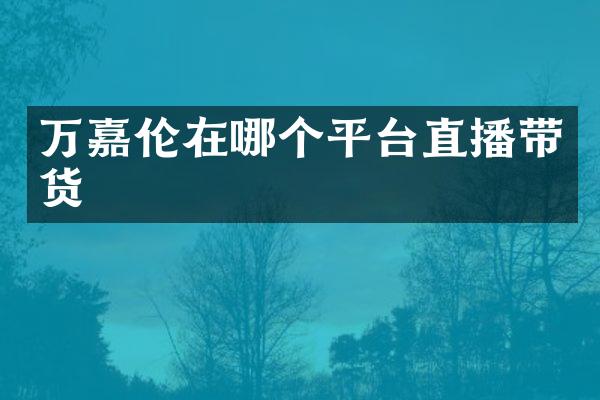 万嘉伦在哪个平台直播带货