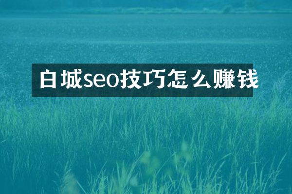 白城seo技巧怎么赚钱