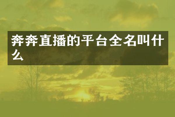 奔奔直播的平台全名叫什么
