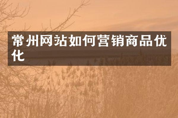 常州网站如何营销商品优化