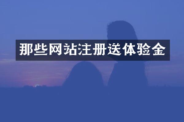 那些网站注册送体验金