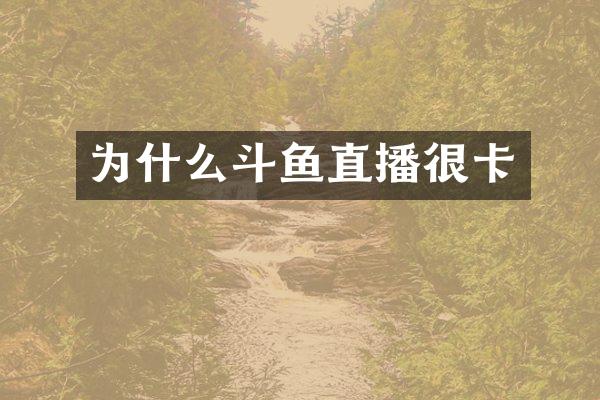 为什么斗鱼直播很卡