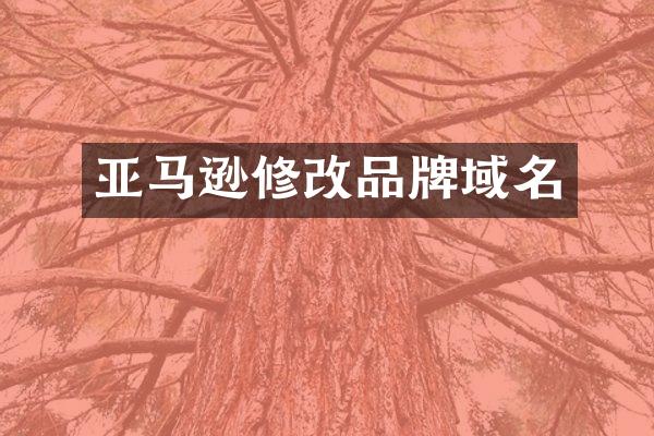 亚马逊修改品牌域名