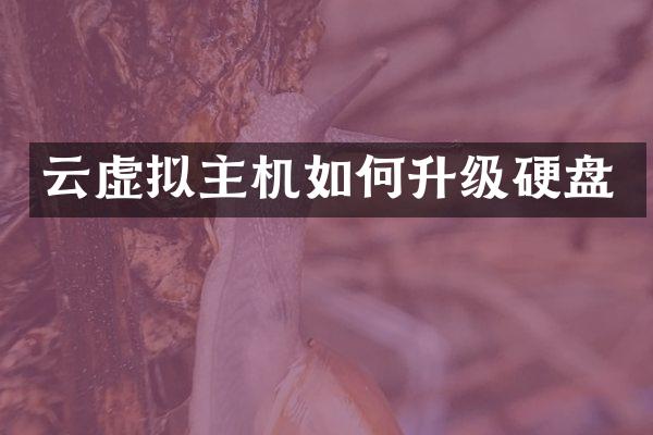 云虚拟主机如何升级硬盘