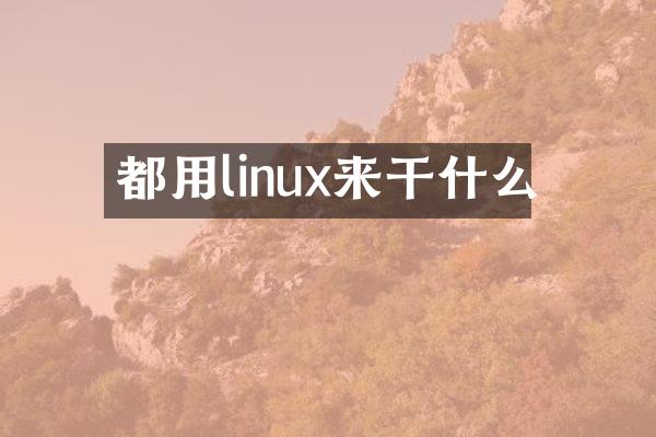 都用linux来干什么