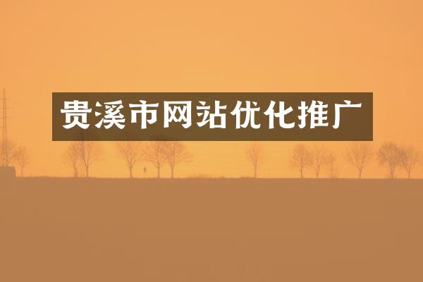 贵溪市网站优化推广