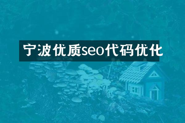 宁波优质seo代码优化