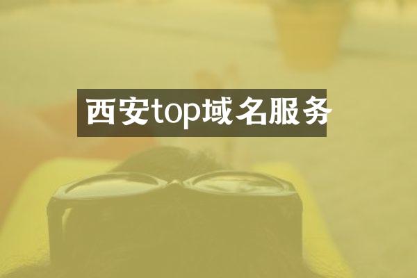 西安top域名服务