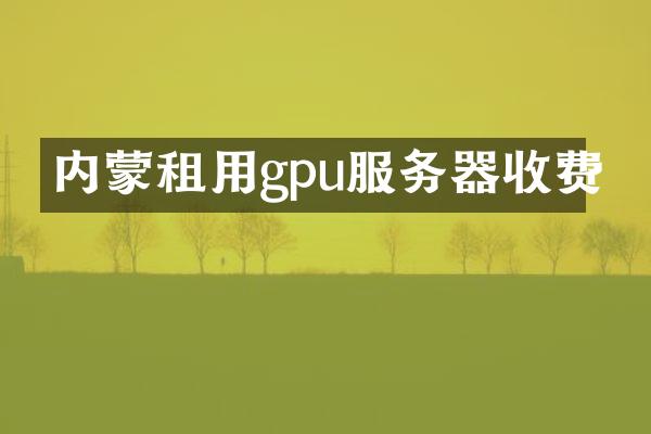 内蒙租用gpu服务器收费