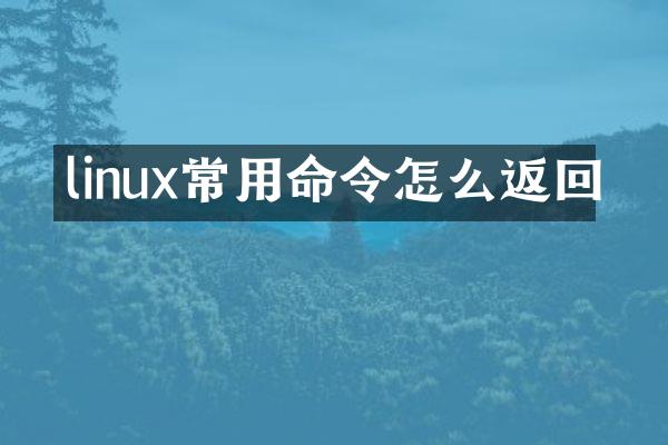 linux常用命令怎么返回