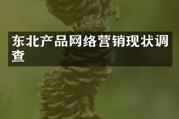 东北产品网络营销现状调查