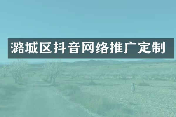 潞城区抖音网络推广定制