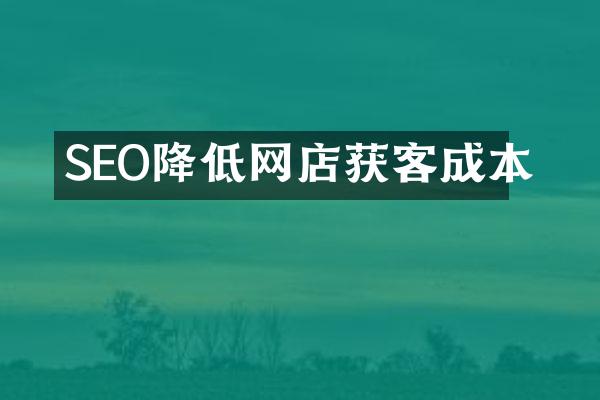 SEO降低网店获客成本