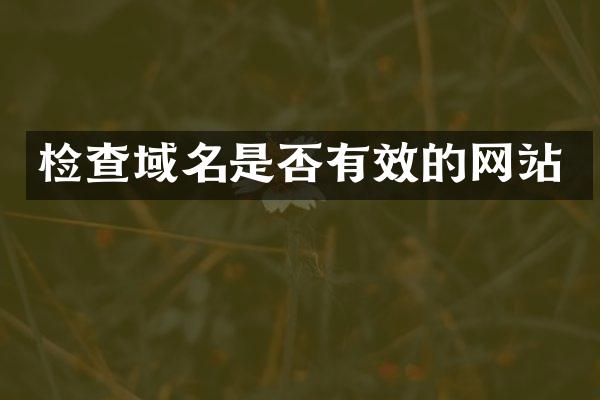 检查域名是否有效的网站